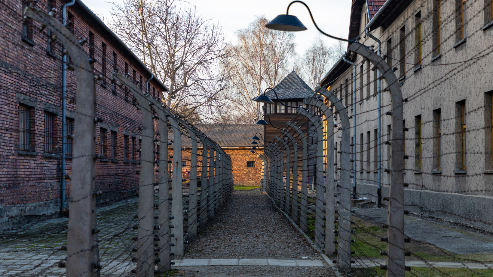 Auschwitz. Fonte: Canva.